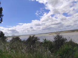 Flora del Cerro Masatrigo